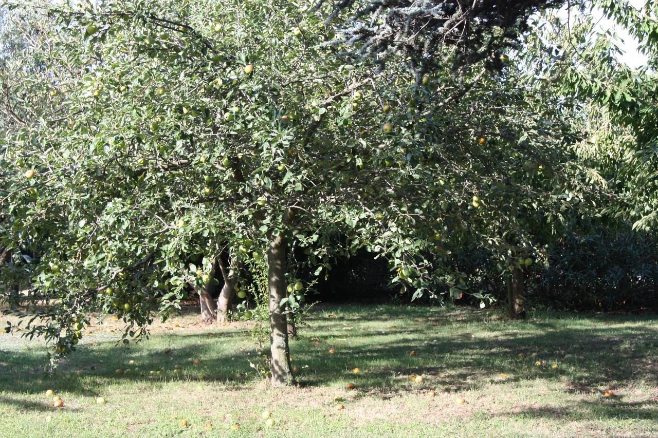 La Villa Blanc (Adults Only) Conques-sur-Orbiel Εξωτερικό φωτογραφία